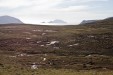 IMG_4221