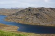 IMG_4229