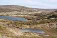 IMG_4255