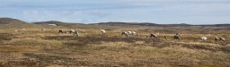 IMG_4277
