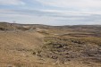 IMG_4279