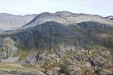IMG_4298