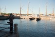 IMG_5101