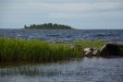 IMG_5147