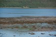 IMG_5187