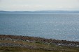 IMG_5238