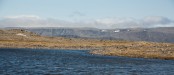 IMG_5319