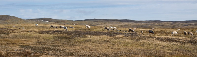 IMG_4277
